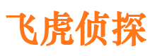 延长市侦探公司